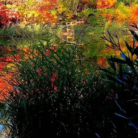 Poganz Appartement *