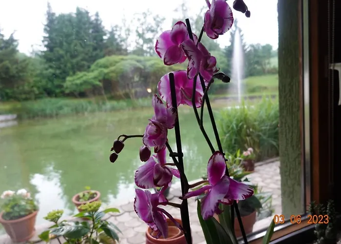 Poganz סנט ויט אן דר גלאן