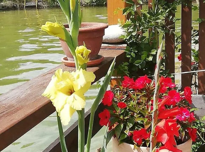 Poganz סנט ויט אן דר גלאן